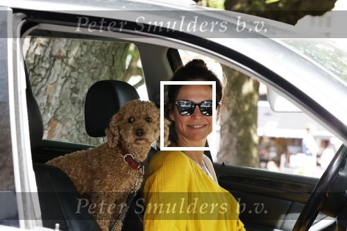 Amsterdam 17 juni 2020
Evelyn Struik met haar hond in de auto