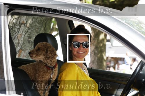 Amsterdam 17 juni 2020
Evelyn Struik met haar hond in de auto