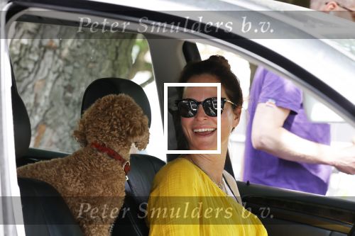 Amsterdam 17 juni 2020
Evelyn Struik met haar hond in de auto