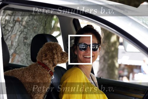 Amsterdam 17 juni 2020
Evelyn Struik met haar hond in de auto