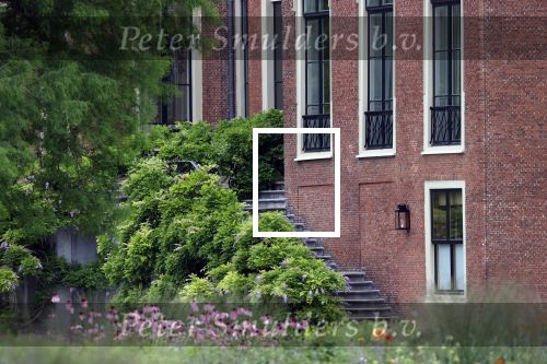 Den Haag  17 juli 2020
Koninklijk fotouurtje in de tuin van Huis ten Bosch . Vanwege corona was er veel minder pers uitgenodigd dan andere jaren. Aanwezig koning Willem Alexander Koningina Maxima en de prinsessen Amalia Alexia en Ariane .