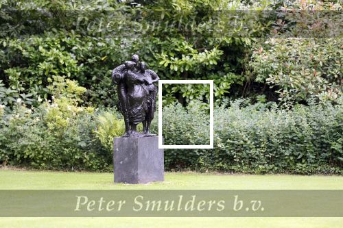Den Haag  17 juli 2020
Koninklijk fotouurtje in de tuin van Huis ten Bosch . Vanwege corona was er veel minder pers uitgenodigd dan andere jaren. Aanwezig koning Willem Alexander Koningina Maxima en de prinsessen Amalia Alexia en Ariane .