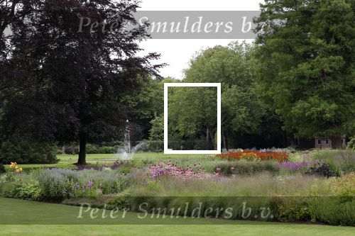 Den Haag  17 juli 2020
Koninklijk fotouurtje in de tuin van Huis ten Bosch . Vanwege corona was er veel minder pers uitgenodigd dan andere jaren. Aanwezig koning Willem Alexander Koningina Maxima en de prinsessen Amalia Alexia en Ariane .