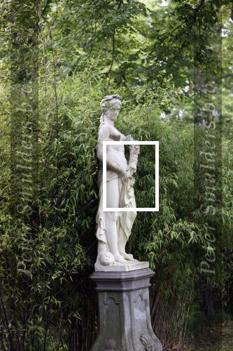 Den Haag  17 juli 2020
Koninklijk fotouurtje in de tuin van Huis ten Bosch . Vanwege corona was er veel minder pers uitgenodigd dan andere jaren. Aanwezig koning Willem Alexander Koningina Maxima en de prinsessen Amalia Alexia en Ariane .
