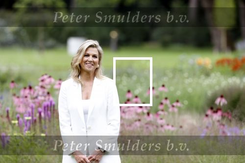 Den Haag  17 juli 2020
Koninklijk fotouurtje in de tuin van Huis ten Bosch . Vanwege corona was er veel minder pers uitgenodigd dan andere jaren. Aanwezig koning Willem Alexander Koningina Maxima en de prinsessen Amalia Alexia en Ariane .