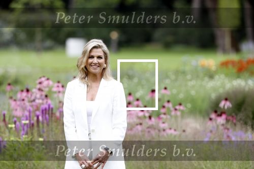 Den Haag  17 juli 2020
Koninklijk fotouurtje in de tuin van Huis ten Bosch . Vanwege corona was er veel minder pers uitgenodigd dan andere jaren. Aanwezig koning Willem Alexander Koningina Maxima en de prinsessen Amalia Alexia en Ariane .