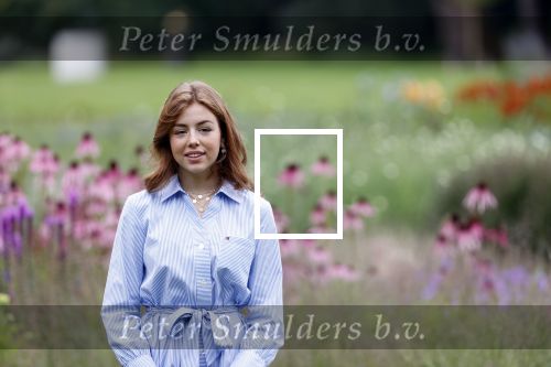 Den Haag  17 juli 2020
Koninklijk fotouurtje in de tuin van Huis ten Bosch . Vanwege corona was er veel minder pers uitgenodigd dan andere jaren. Aanwezig koning Willem Alexander Koningina Maxima en de prinsessen Amalia Alexia en Ariane .