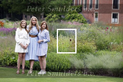 Den Haag  17 juli 2020
Koninklijk fotouurtje in de tuin van Huis ten Bosch . Vanwege corona was er veel minder pers uitgenodigd dan andere jaren. Aanwezig koning Willem Alexander Koningina Maxima en de prinsessen Amalia Alexia en Ariane .