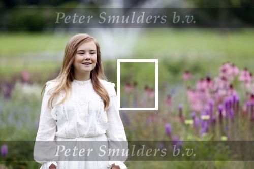 Den Haag  17 juli 2020
Koninklijk fotouurtje in de tuin van Huis ten Bosch . Vanwege corona was er veel minder pers uitgenodigd dan andere jaren. Aanwezig koning Willem Alexander Koningina Maxima en de prinsessen Amalia Alexia en Ariane .