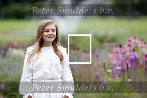 Den Haag  17 juli 2020
Koninklijk fotouurtje in de tuin van Huis ten Bosch . Vanwege corona was er veel minder pers uitgenodigd dan andere jaren. Aanwezig koning Willem Alexander Koningina Maxima en de prinsessen Amalia Alexia en Ariane .