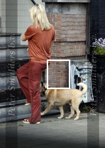 Amsterdam 17 juni 2021
Bridget Maasland laat haar hond uit.