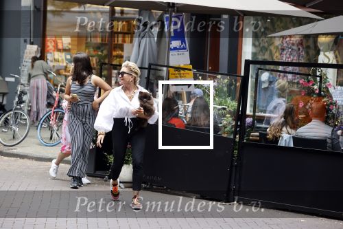Amsterdam 10 juli 2021
Connie Witteman met haar hondje ,dochter Constanza en kleinkinderen in 2 biro karretjes in Amsterdam zuid