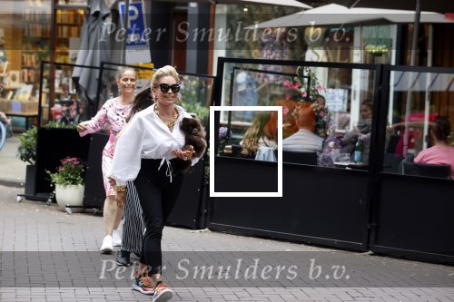 Amsterdam 10 juli 2021
Connie Witteman met haar hondje ,dochter Constanza en kleinkinderen in 2 biro karretjes in Amsterdam zuid