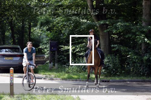Amsterdamse Bos 26 juni 2021
Fajah Lourens en haar nieuwe vriend Bart Hondebrink in het Amsterdamse bos. Fajah te paard en Bart op een mountainbike
