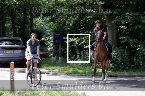 Amsterdamse Bos 26 juni 2021
Fajah Lourens en haar nieuwe vriend Bart Hondebrink in het Amsterdamse bos. Fajah te paard en Bart op een mountainbike