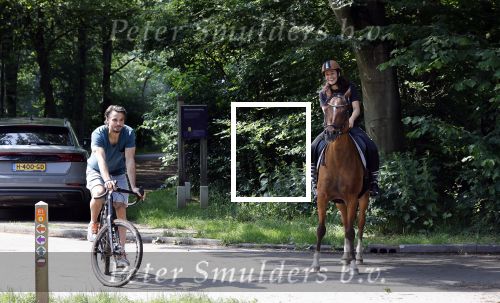 Amsterdamse Bos 26 juni 2021
Fajah Lourens en haar nieuwe vriend Bart Hondebrink in het Amsterdamse bos. Fajah te paard en Bart op een mountainbike