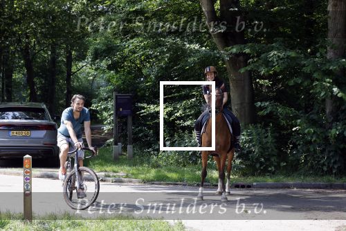 Amsterdamse Bos 26 juni 2021
Fajah Lourens en haar nieuwe vriend Bart Hondebrink in het Amsterdamse bos. Fajah te paard en Bart op een mountainbike