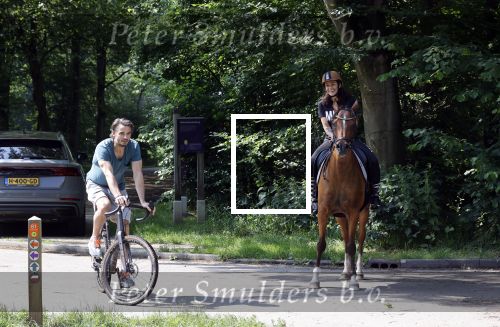 Amsterdamse Bos 26 juni 2021
Fajah Lourens en haar nieuwe vriend Bart Hondebrink in het Amsterdamse bos. Fajah te paard en Bart op een mountainbike