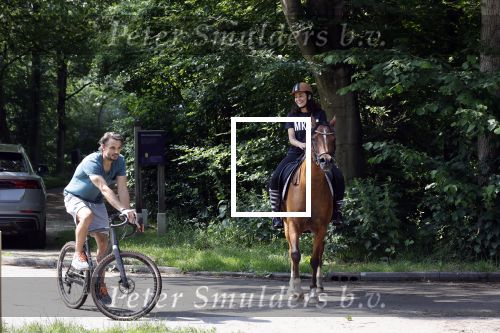 Amsterdamse Bos 26 juni 2021
Fajah Lourens en haar nieuwe vriend Bart Hondebrink in het Amsterdamse bos. Fajah te paard en Bart op een mountainbike
