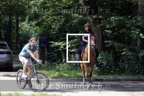 Amsterdamse Bos 26 juni 2021
Fajah Lourens en haar nieuwe vriend Bart Hondebrink in het Amsterdamse bos. Fajah te paard en Bart op een mountainbike