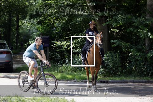 Amsterdamse Bos 26 juni 2021
Fajah Lourens en haar nieuwe vriend Bart Hondebrink in het Amsterdamse bos. Fajah te paard en Bart op een mountainbike