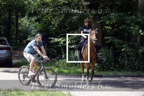 Amsterdamse Bos 26 juni 2021
Fajah Lourens en haar nieuwe vriend Bart Hondebrink in het Amsterdamse bos. Fajah te paard en Bart op een mountainbike