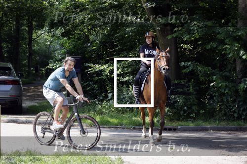 Amsterdamse Bos 26 juni 2021
Fajah Lourens en haar nieuwe vriend Bart Hondebrink in het Amsterdamse bos. Fajah te paard en Bart op een mountainbike