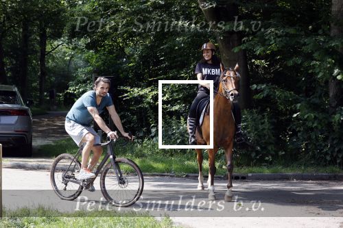 Amsterdamse Bos 26 juni 2021
Fajah Lourens en haar nieuwe vriend Bart Hondebrink in het Amsterdamse bos. Fajah te paard en Bart op een mountainbike