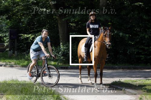 Amsterdamse Bos 26 juni 2021
Fajah Lourens en haar nieuwe vriend Bart Hondebrink in het Amsterdamse bos. Fajah te paard en Bart op een mountainbike