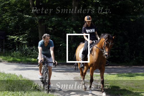 Amsterdamse Bos 26 juni 2021
Fajah Lourens en haar nieuwe vriend Bart Hondebrink in het Amsterdamse bos. Fajah te paard en Bart op een mountainbike