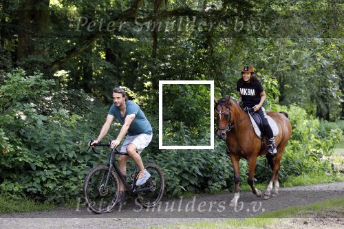 Amsterdamse Bos 26 juni 2021
Fajah Lourens en haar nieuwe vriend Bart Hondebrink in het Amsterdamse bos. Fajah te paard en Bart op een mountainbike