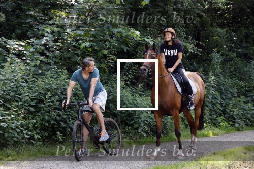 Amsterdamse Bos 26 juni 2021
Fajah Lourens en haar nieuwe vriend Bart Hondebrink in het Amsterdamse bos. Fajah te paard en Bart op een mountainbike