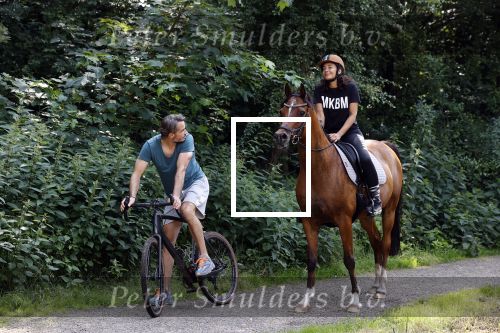 Amsterdamse Bos 26 juni 2021
Fajah Lourens en haar nieuwe vriend Bart Hondebrink in het Amsterdamse bos. Fajah te paard en Bart op een mountainbike