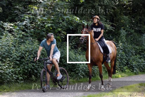 Amsterdamse Bos 26 juni 2021
Fajah Lourens en haar nieuwe vriend Bart Hondebrink in het Amsterdamse bos. Fajah te paard en Bart op een mountainbike