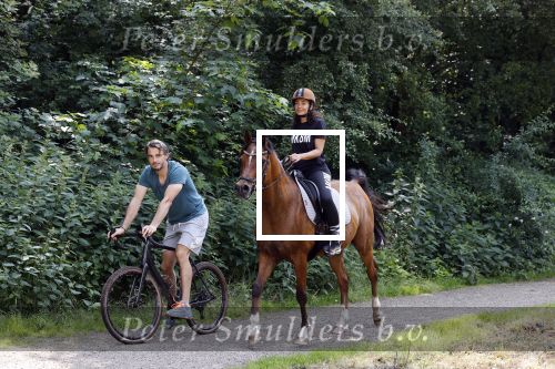 Amsterdamse Bos 26 juni 2021
Fajah Lourens en haar nieuwe vriend Bart Hondebrink in het Amsterdamse bos. Fajah te paard en Bart op een mountainbike