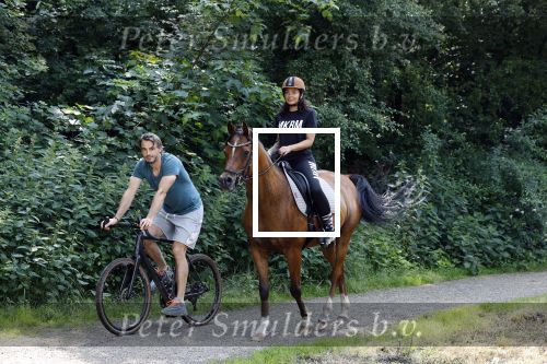 Amsterdamse Bos 26 juni 2021
Fajah Lourens en haar nieuwe vriend Bart Hondebrink in het Amsterdamse bos. Fajah te paard en Bart op een mountainbike