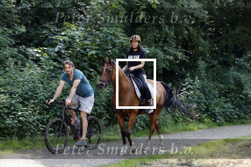 Amsterdamse Bos 26 juni 2021
Fajah Lourens en haar nieuwe vriend Bart Hondebrink in het Amsterdamse bos. Fajah te paard en Bart op een mountainbike