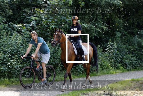 Amsterdamse Bos 26 juni 2021
Fajah Lourens en haar nieuwe vriend Bart Hondebrink in het Amsterdamse bos. Fajah te paard en Bart op een mountainbike