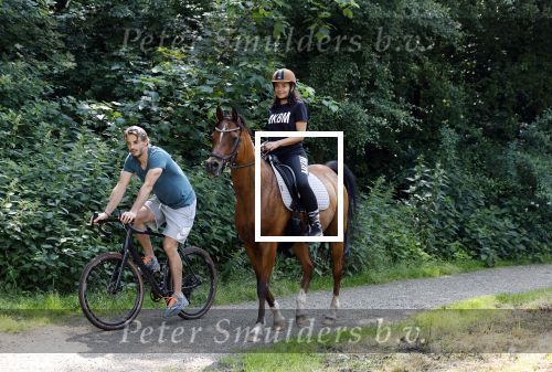 Amsterdamse Bos 26 juni 2021
Fajah Lourens en haar nieuwe vriend Bart Hondebrink in het Amsterdamse bos. Fajah te paard en Bart op een mountainbike