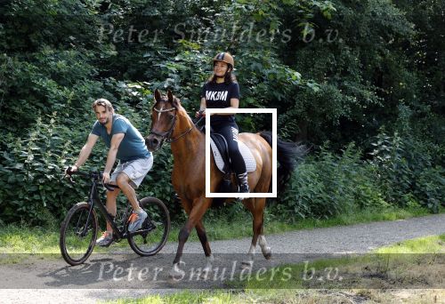 Amsterdamse Bos 26 juni 2021
Fajah Lourens en haar nieuwe vriend Bart Hondebrink in het Amsterdamse bos. Fajah te paard en Bart op een mountainbike