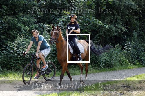 Amsterdamse Bos 26 juni 2021
Fajah Lourens en haar nieuwe vriend Bart Hondebrink in het Amsterdamse bos. Fajah te paard en Bart op een mountainbike