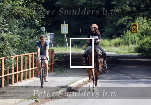 Amsterdamse Bos 26 juni 2021
Fajah Lourens en haar nieuwe vriend Bart Hondebrink in het Amsterdamse bos. Fajah te paard en Bart op een mountainbike
