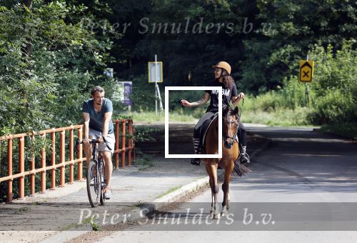 Amsterdamse Bos 26 juni 2021
Fajah Lourens en haar nieuwe vriend Bart Hondebrink in het Amsterdamse bos. Fajah te paard en Bart op een mountainbike