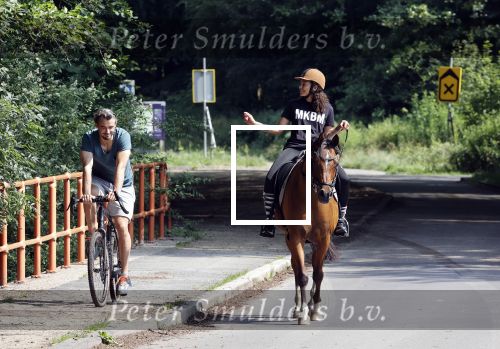 Amsterdamse Bos 26 juni 2021
Fajah Lourens en haar nieuwe vriend Bart Hondebrink in het Amsterdamse bos. Fajah te paard en Bart op een mountainbike
