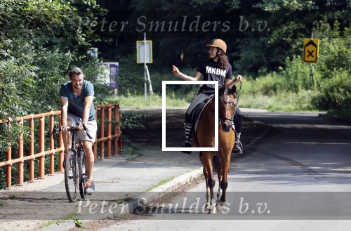 Amsterdamse Bos 26 juni 2021
Fajah Lourens en haar nieuwe vriend Bart Hondebrink in het Amsterdamse bos. Fajah te paard en Bart op een mountainbike