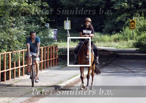 Amsterdamse Bos 26 juni 2021
Fajah Lourens en haar nieuwe vriend Bart Hondebrink in het Amsterdamse bos. Fajah te paard en Bart op een mountainbike