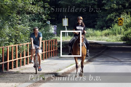 Amsterdamse Bos 26 juni 2021
Fajah Lourens en haar nieuwe vriend Bart Hondebrink in het Amsterdamse bos. Fajah te paard en Bart op een mountainbike