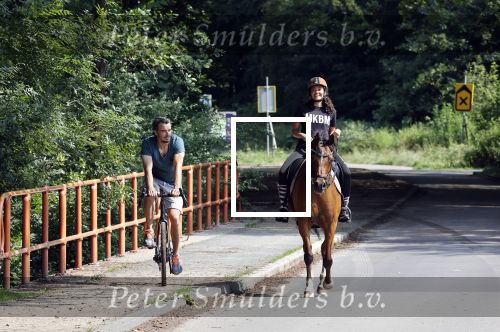 Amsterdamse Bos 26 juni 2021
Fajah Lourens en haar nieuwe vriend Bart Hondebrink in het Amsterdamse bos. Fajah te paard en Bart op een mountainbike