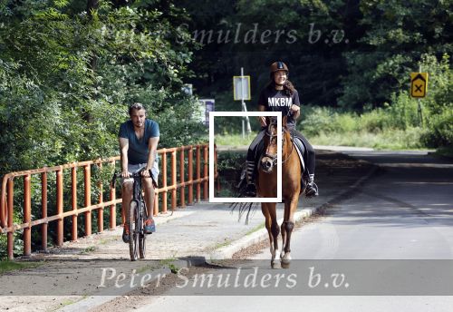 Amsterdamse Bos 26 juni 2021
Fajah Lourens en haar nieuwe vriend Bart Hondebrink in het Amsterdamse bos. Fajah te paard en Bart op een mountainbike