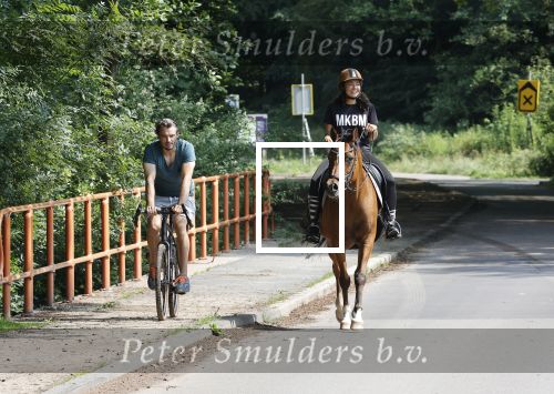 Amsterdamse Bos 26 juni 2021
Fajah Lourens en haar nieuwe vriend Bart Hondebrink in het Amsterdamse bos. Fajah te paard en Bart op een mountainbike